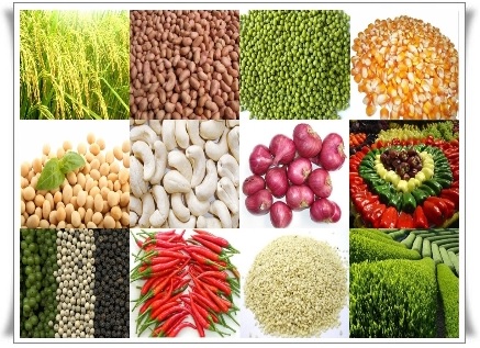 Đừng để nông sản Việt mất lợi thế